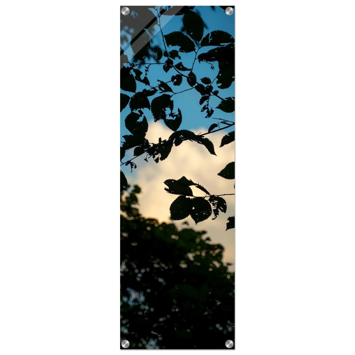 4d91947d-06f8-4ae4-bcbf-439bcf7cb7d6