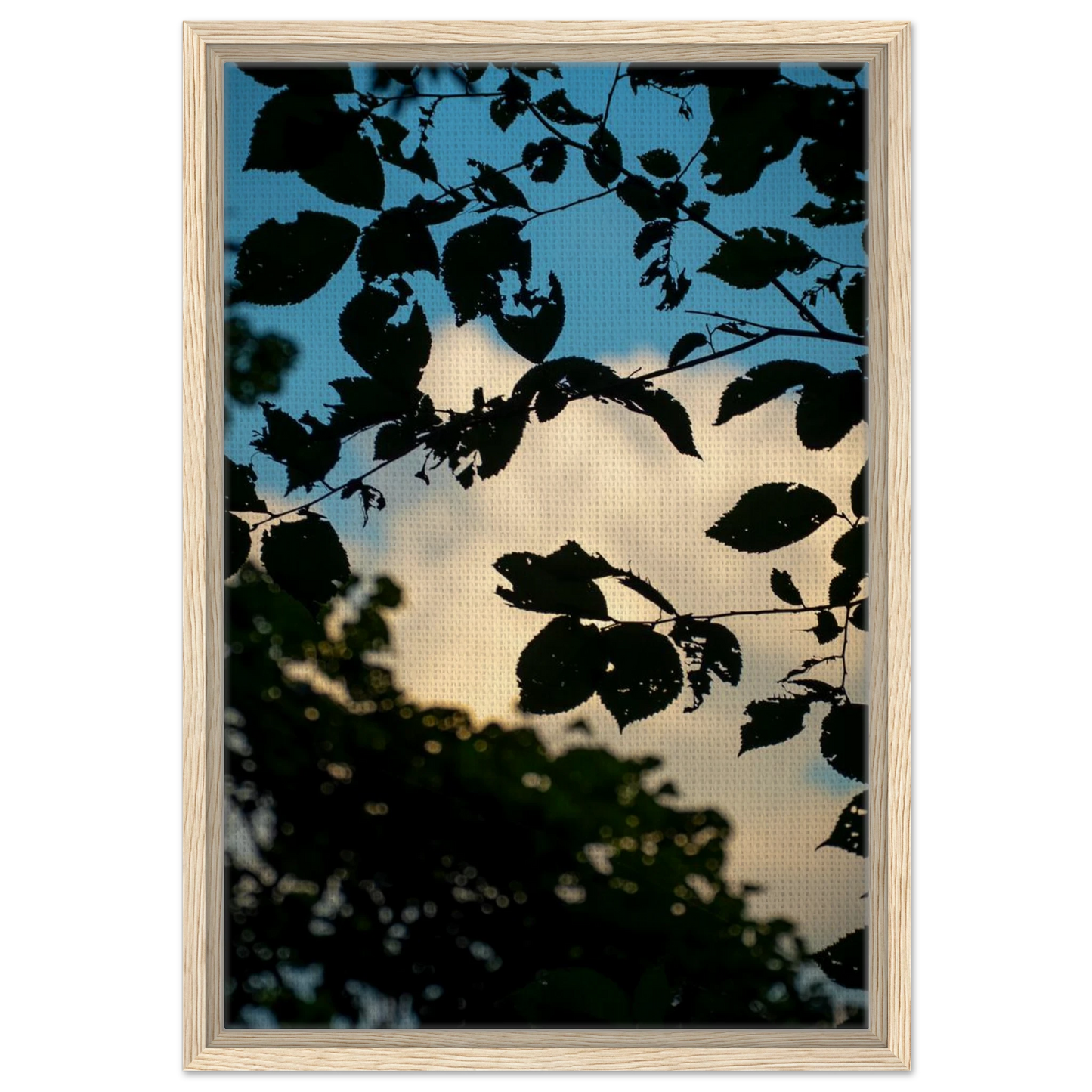 c81ff2c7-fc04-49ab-a1ed-84080f796b1c