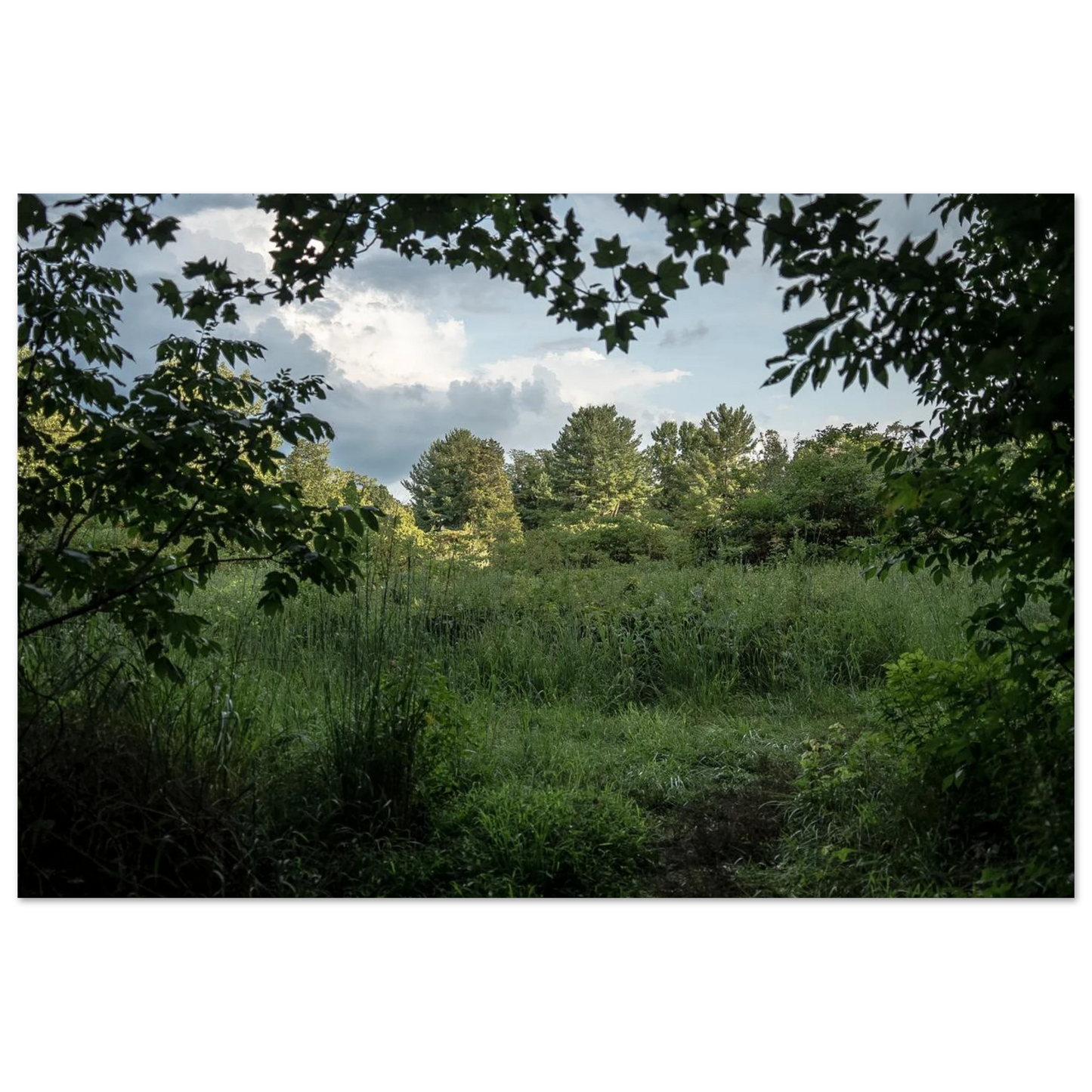 53f73809-1636-42d3-b1af-2ac726e125d1