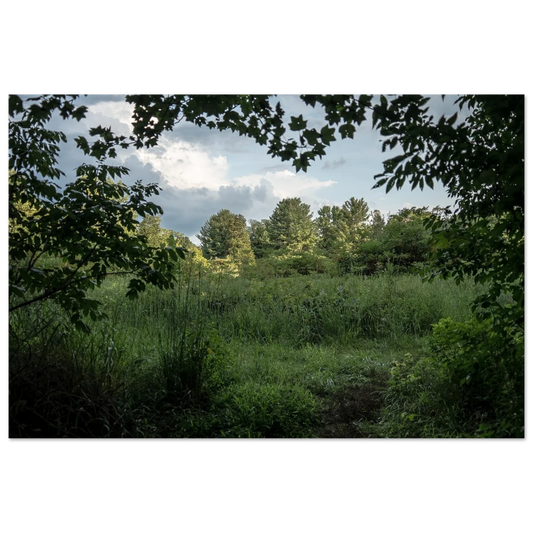 53f73809-1636-42d3-b1af-2ac726e125d1