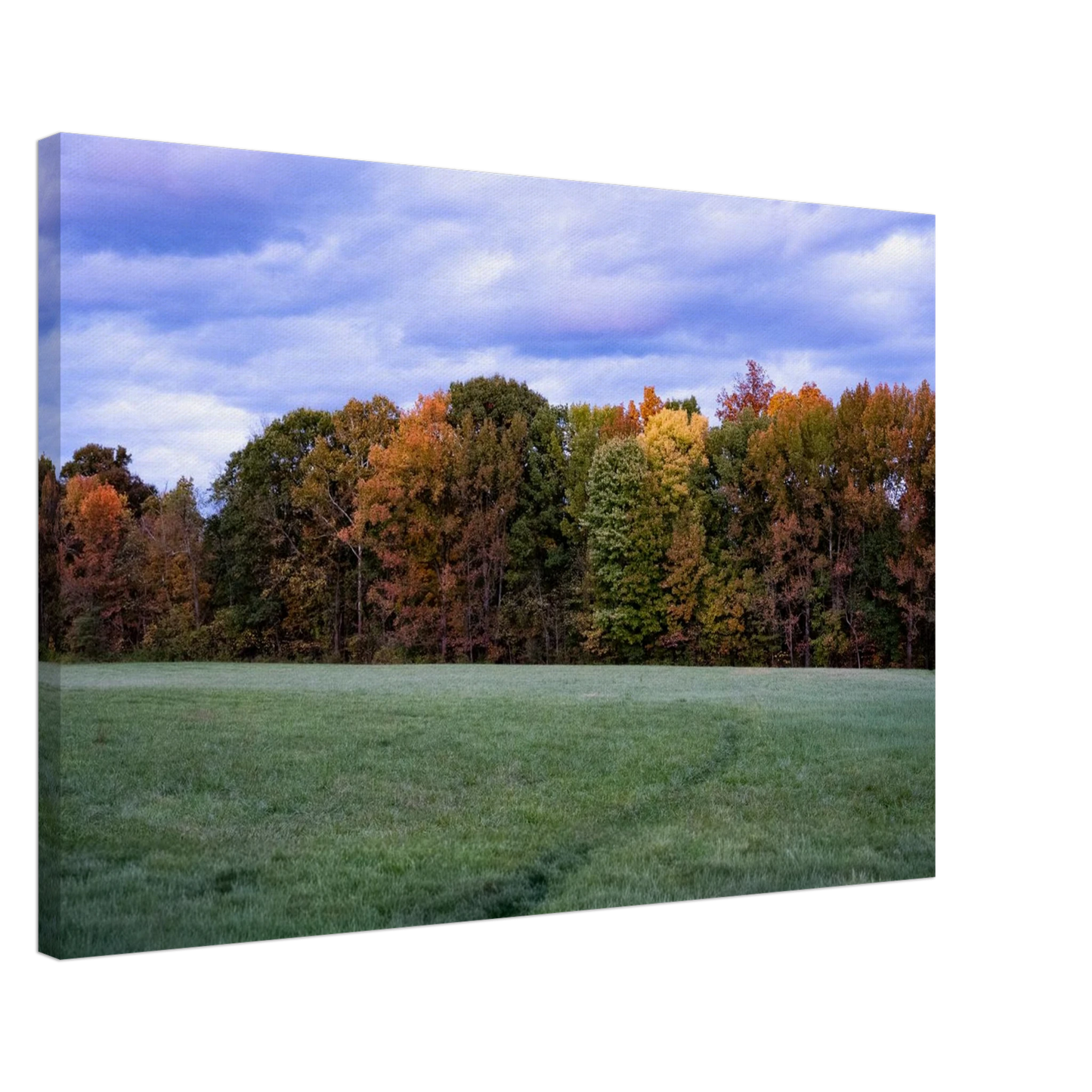 c181e216-220b-4998-825c-f44623c33625