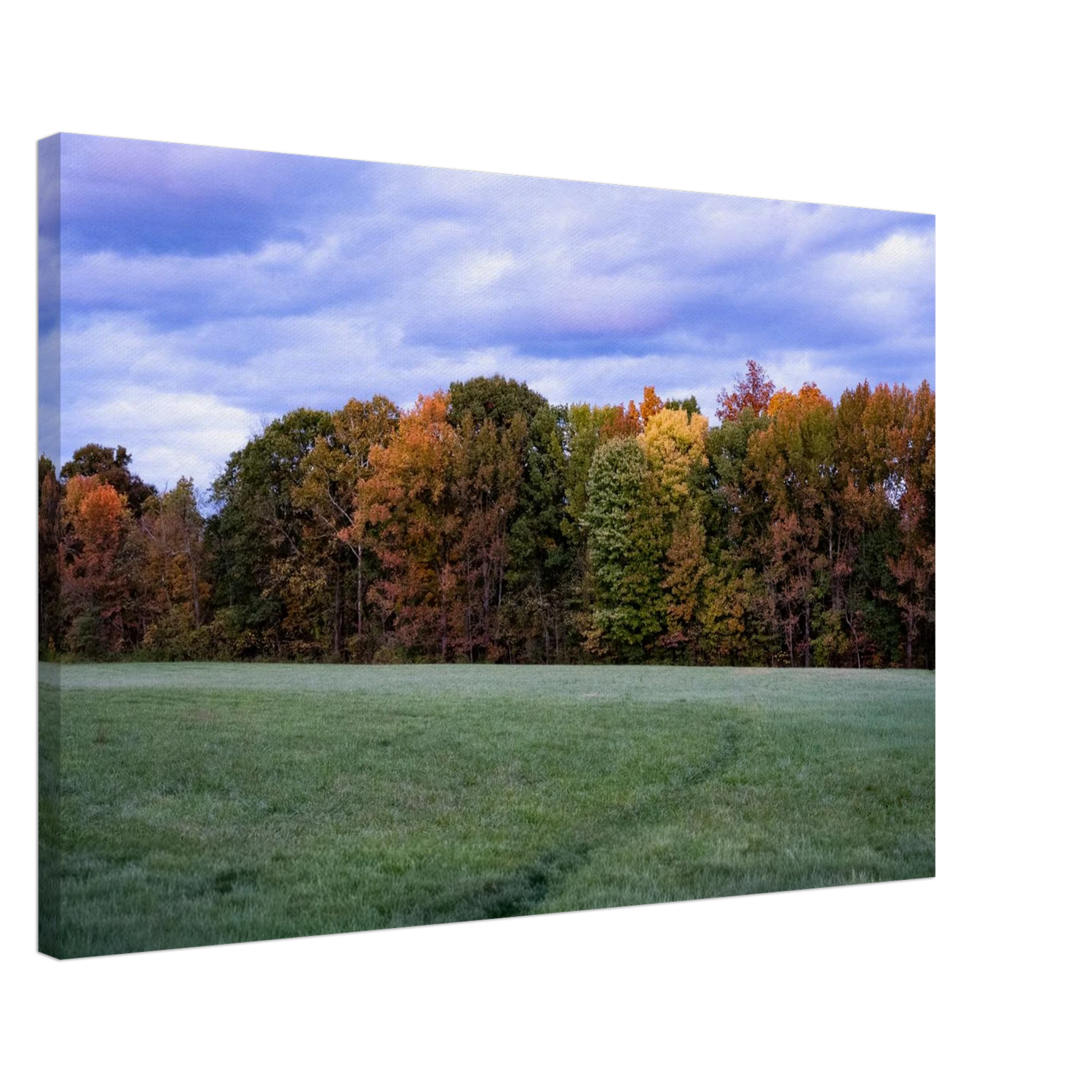 c181e216-220b-4998-825c-f44623c33625