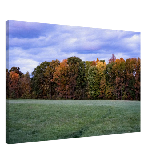 c181e216-220b-4998-825c-f44623c33625