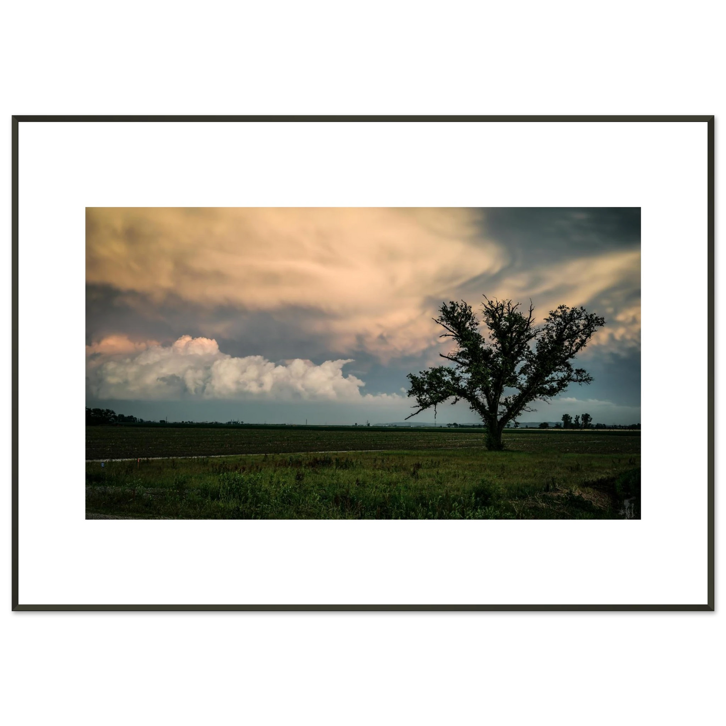 d518c13e-0c2f-4513-9f41-37256b3ff709