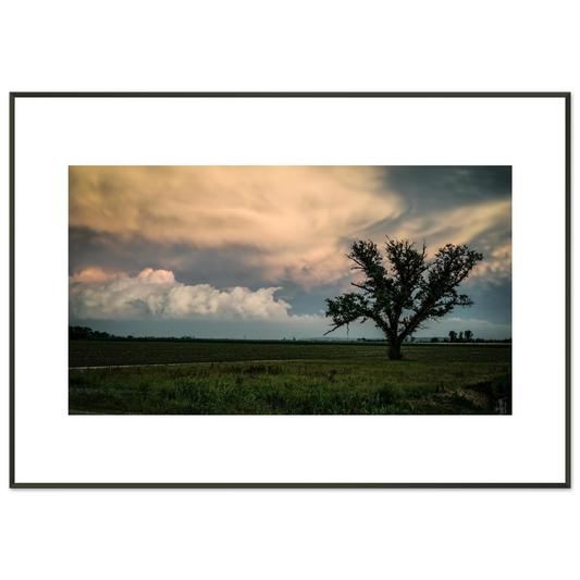 d518c13e-0c2f-4513-9f41-37256b3ff709